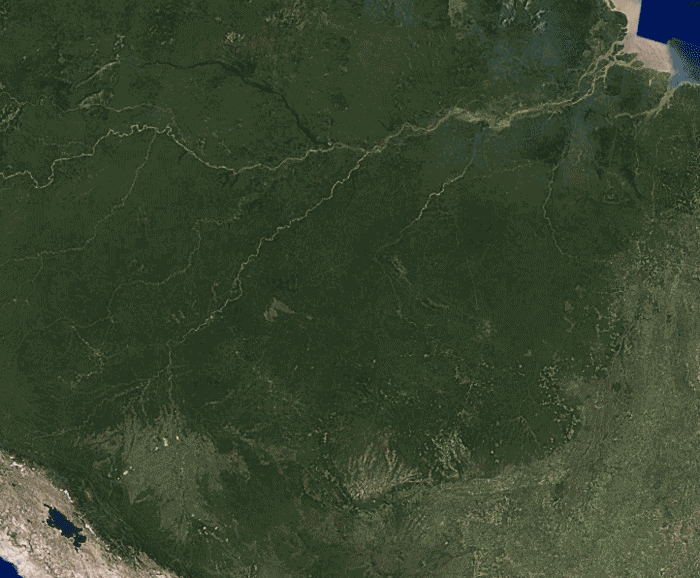 desflorestação amazônica