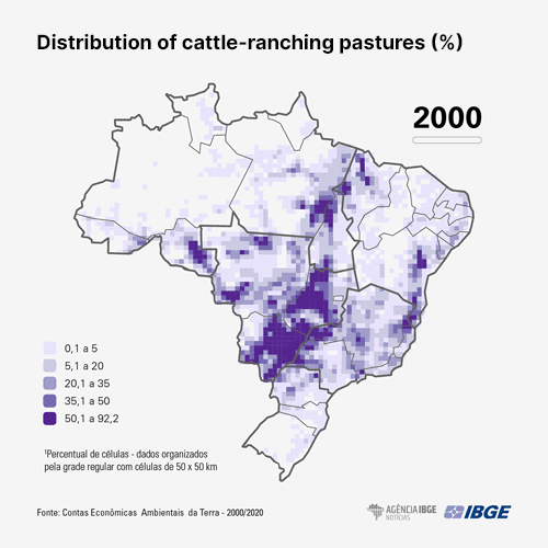 cattle-ranching forest deforestation