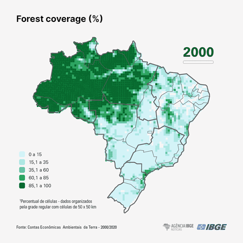 forest deforestation