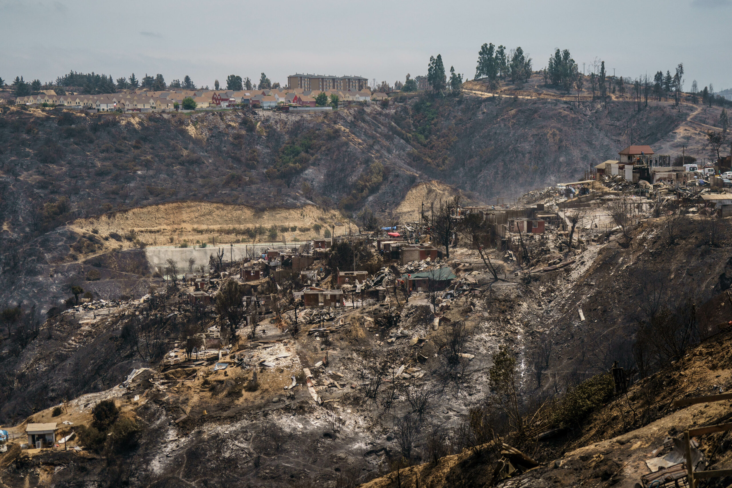 ¿Por qué los incendios catastróficos son cada vez más comunes en Chile?